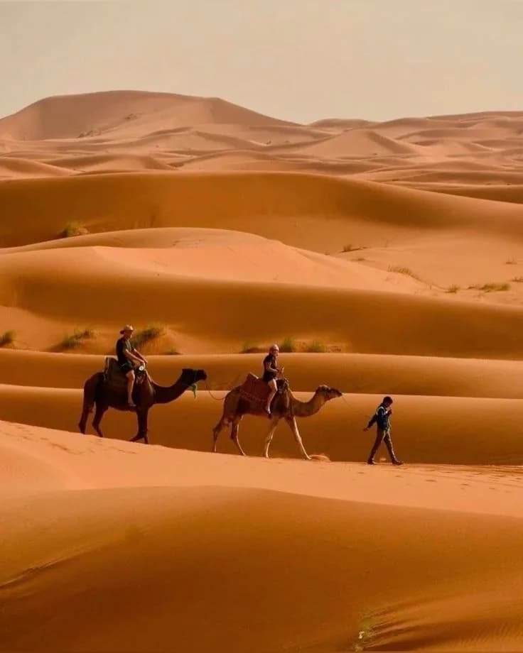 Day 6 — Merzouga Desert Experience