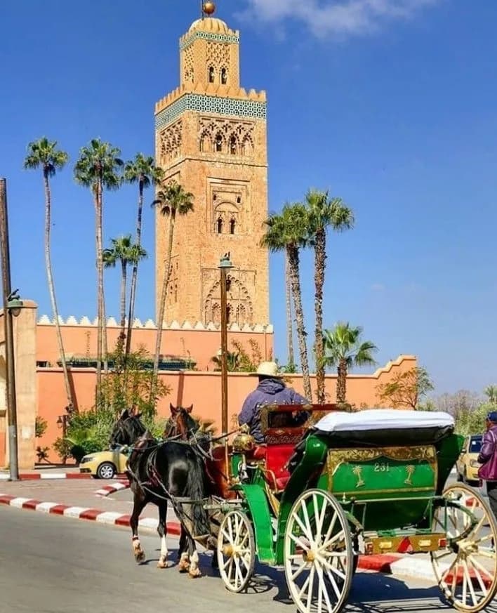 Day 10 — Marrakech Free Day