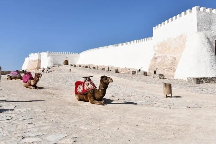 Agadir City Tour with Cable Car Experience - Image 8