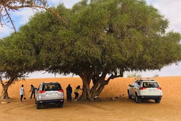 Mini Sahara Tour - Image 5