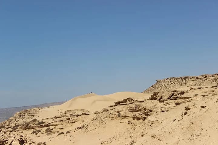 Sunset sandboarding with mint tea