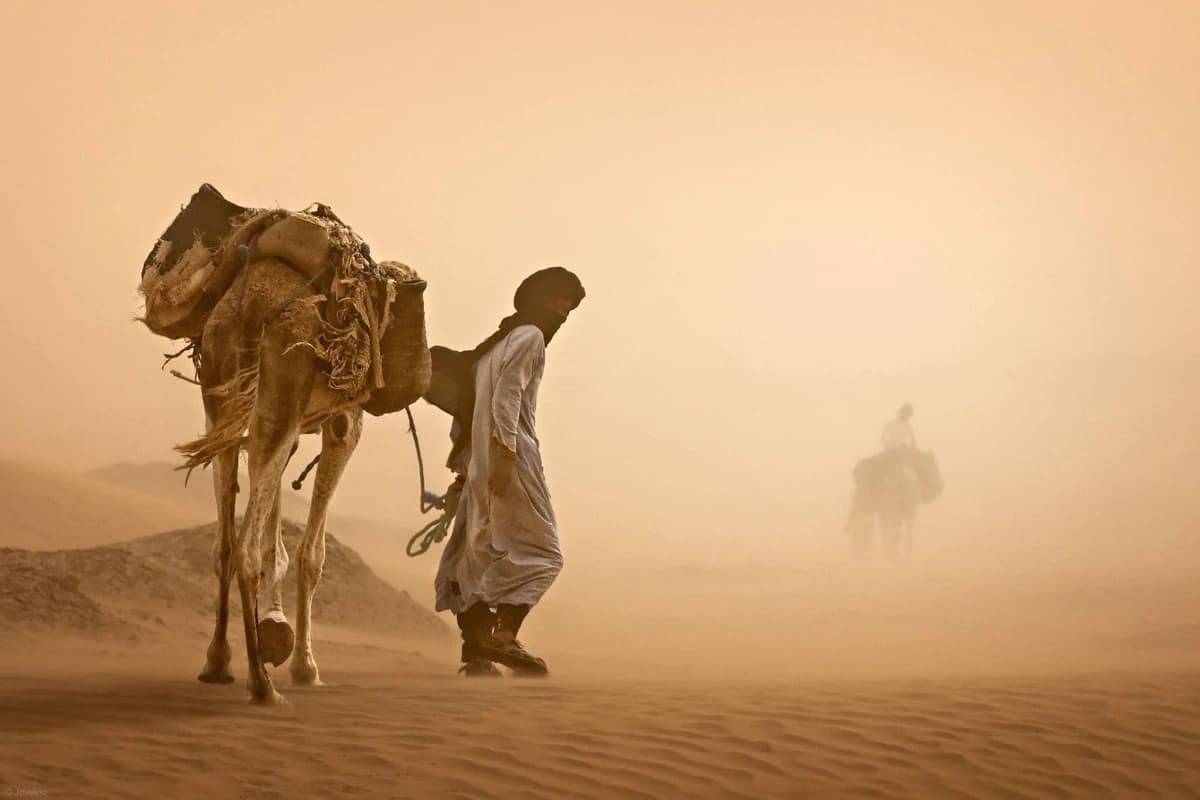 A camel and rider on the beach at golden sunset near Agadir