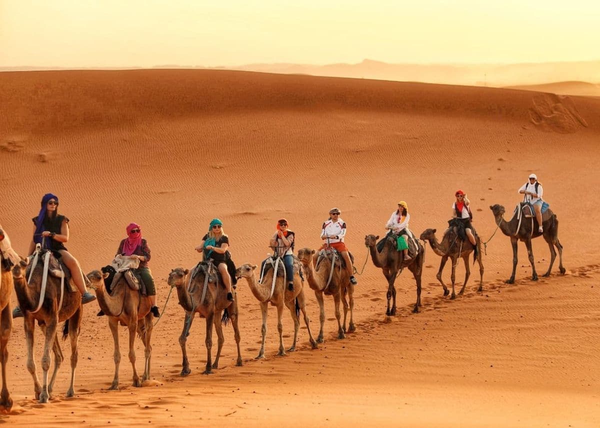 A camel caravan crossing the Erg Chebbi dunes at sunset near Merzouga